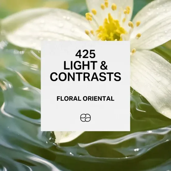 Picture of 425 Light & Contrasts