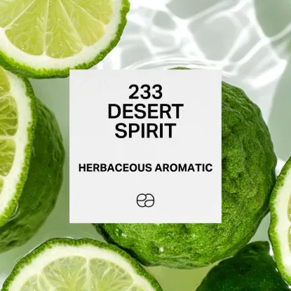 Picture of 233 Desert Spirit