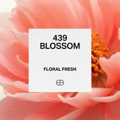 Picture of 439 Blossom